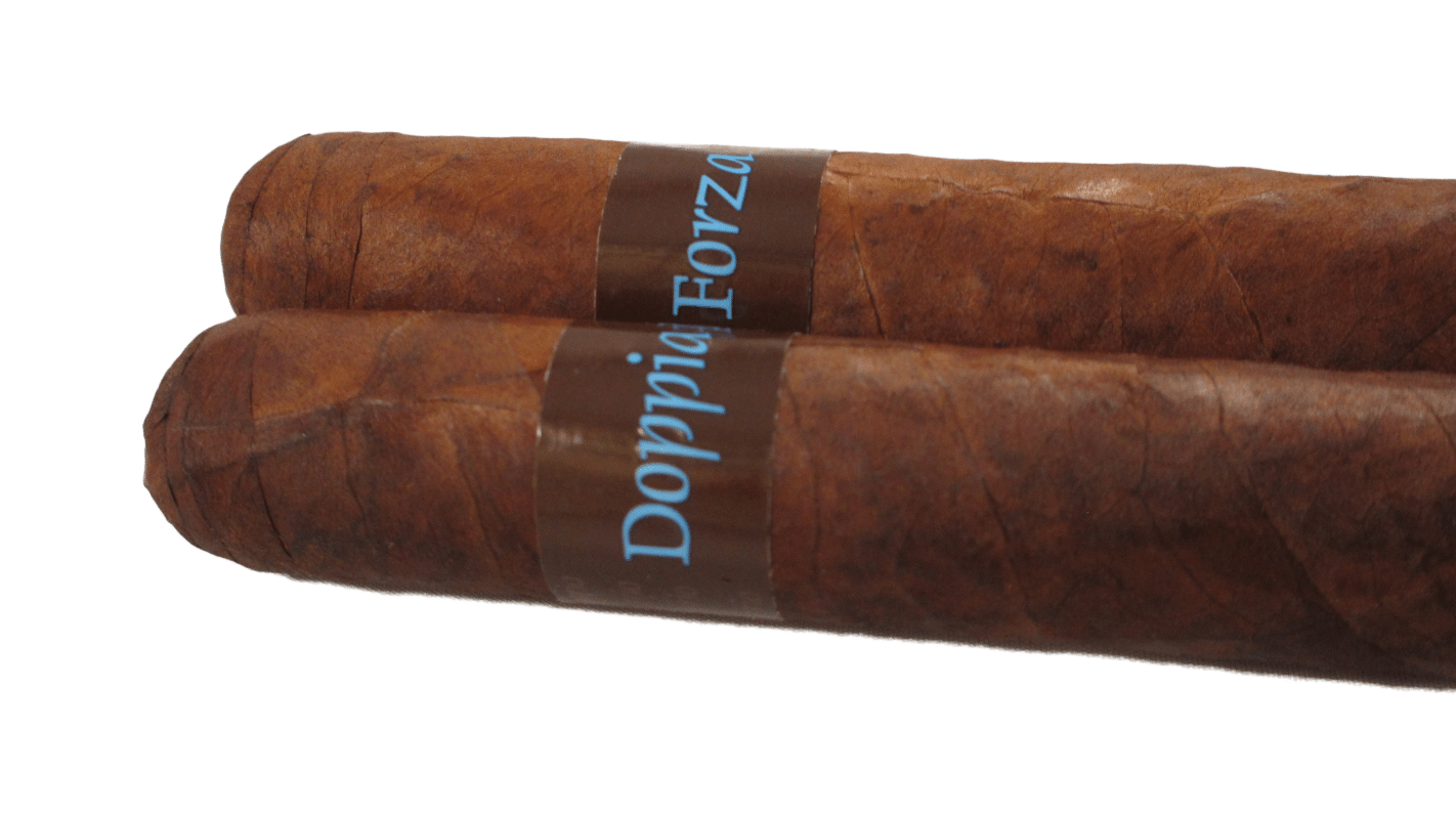 Blind Cigar Review: Felipe Gregorio | Doppia Forza Grosse Bertha