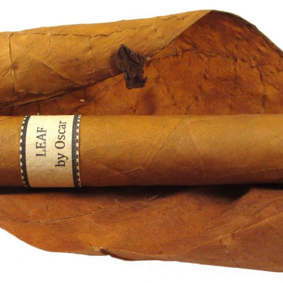 Blind Cigar Review: Puros de Ballard | Connecticut Toro