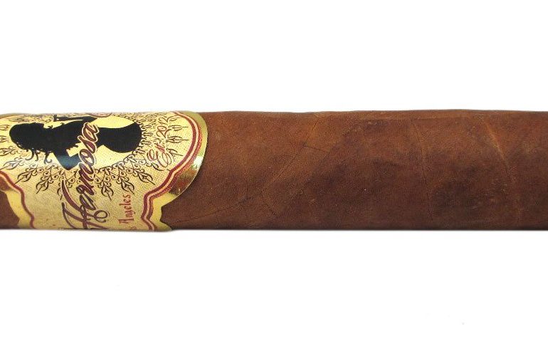 Blind Cigar Review: Hermosa | Torpedo