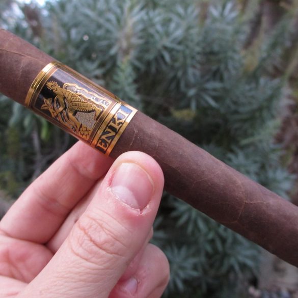 Quick Cigar Review: Enki Toro