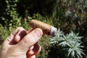 Quick Cigar Review: The Caleanoch 25