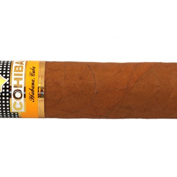 Blind Cigar Review: Cohiba | Siglo VI