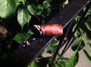 Quick Cigar Review: Tatuaje | Jekyll