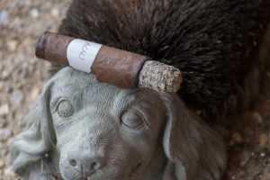 Blind Cigar Review: RoMa Craft | Neanderthal HN