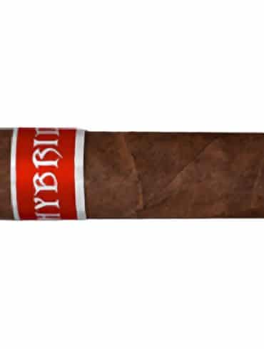 Quick Cigar Review: AKA Hybrid Corona Gorda