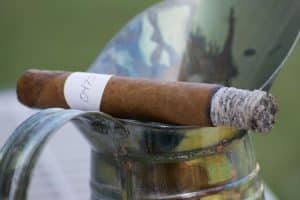 Blind Cigar Review: #Famous | Toro