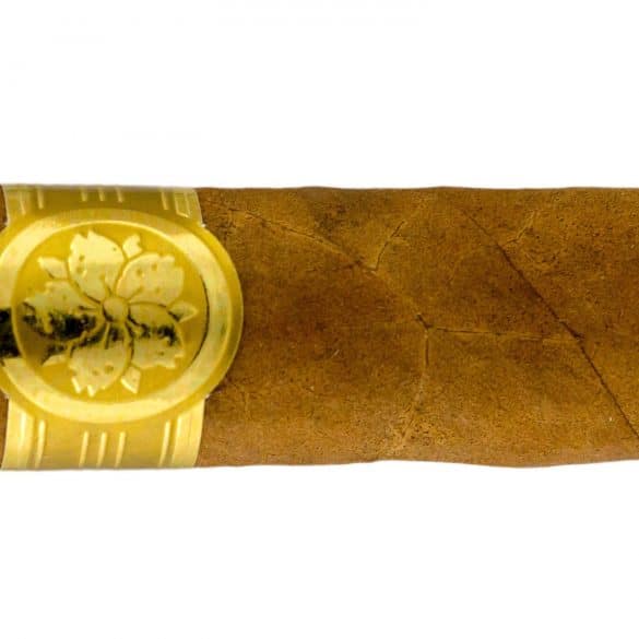 Blind Cigar Review: Room 101 | Master Collection Two Roxxo