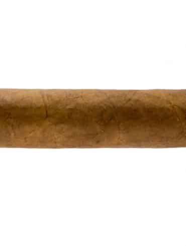 Blind Cigar Review: Warped | Maestro del Tiempo 5205