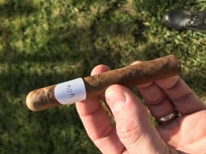 Blind Cigar Review: Ventura | Archetype Initiation Corona