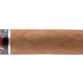 Quick Cigar Review: Nomad | Martial Law