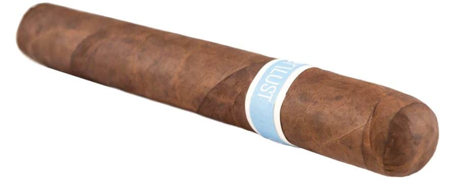 Blind Cigar Review: RoMa Craft | Wunder|Lust
