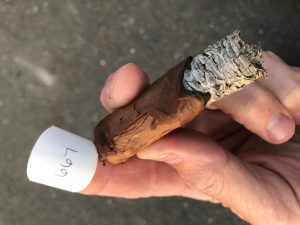 Blind Cigar Review: Camacho | Liberty 2017