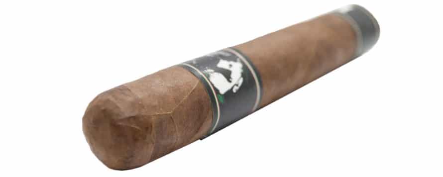 Blind Cigar Review: Emilio | LJZ Robusto