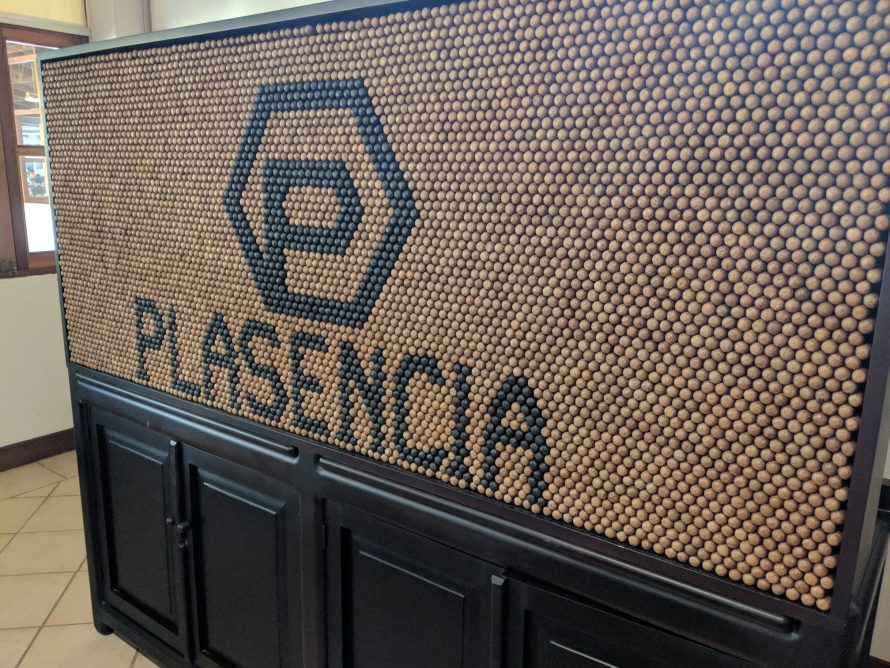 Plasencia_Display