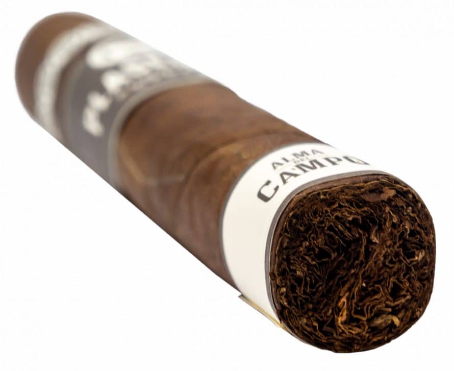 Blind Cigar Review: Plasencia | Alma del Campo Tribu