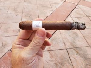 Blind Cigar Review: Cubariqueño | Protocol Official Misconduct Toro