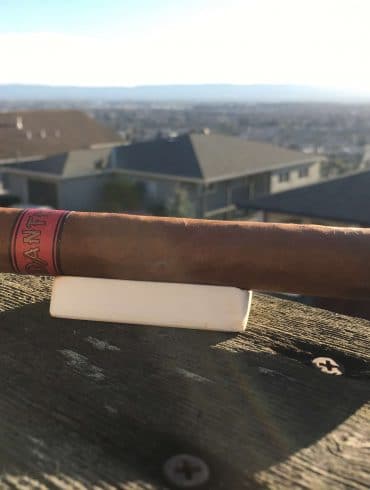 Quick Cigar Review: Dante | Vita Nova Canto IV