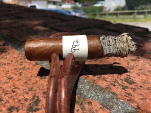 Blind Cigar Review: A Cuban Experience | El Corazon