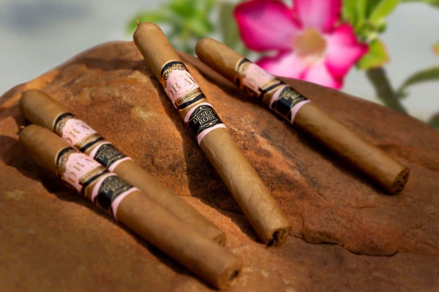 Cigar News: Two New Southern Draw Desert Roses are Blooming this Year