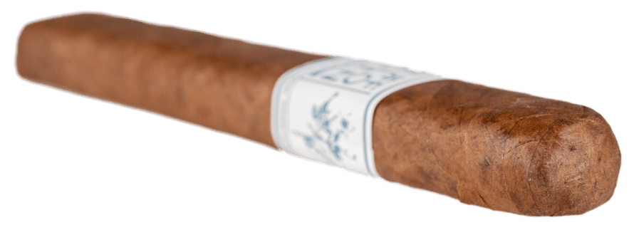 Blind Cigar Review: El Artista |Buffalo TEN Natural