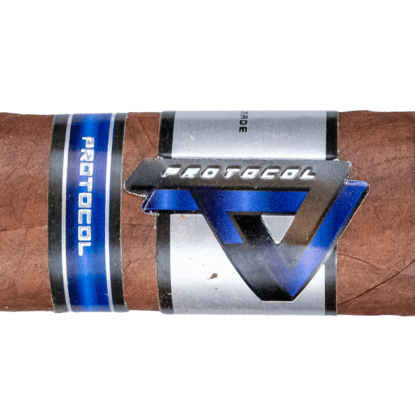 Protocol Blue Gordo - Blind Cigar Review
