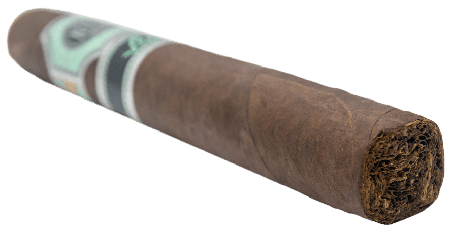 Platinum Nova Leo 11 Edition Limitada Nicaragua  - Blind Cigar Review