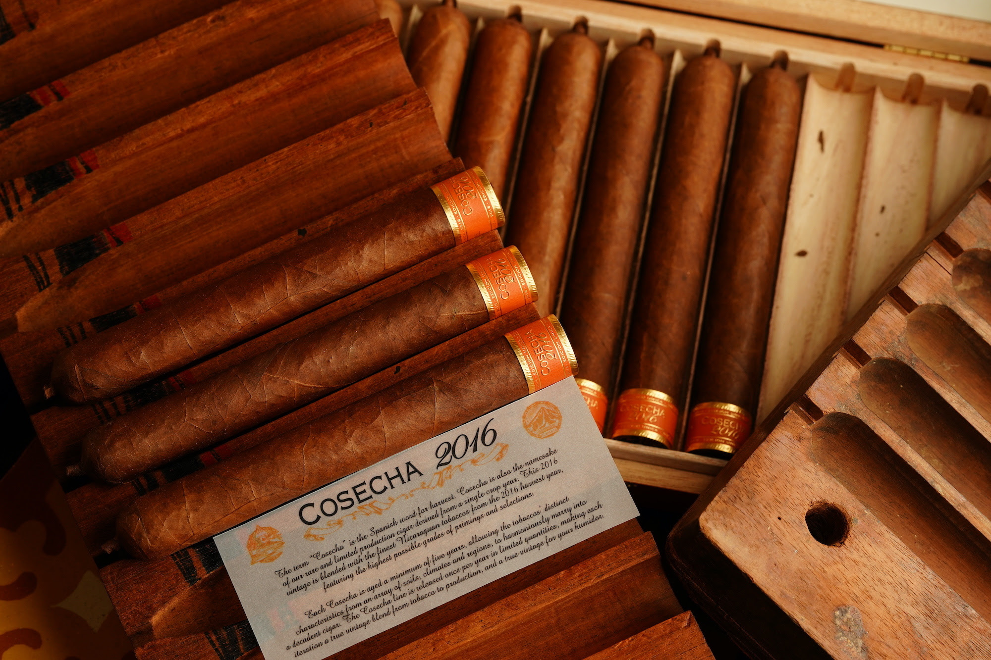 Favilli S.A. Announces Cosecha 2016 - Cigar News