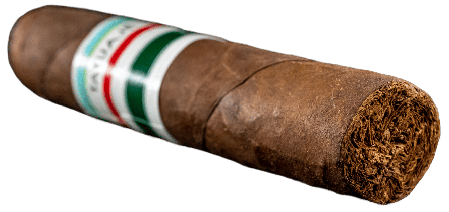 Tatuaje T110 Tuxtla - Blind Cigar Review