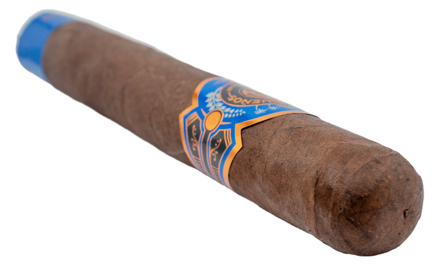 Casa de Sueños Fantasia Toro Gordo - Blind Cigar Review