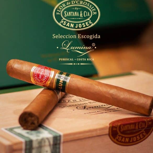 Pure Aroma Announces Flor de D’Crossier Seleccion Escogida Lumina - Cigar News