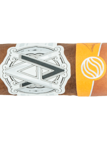 AVO Seasons Limited Edition Series 2023 Fall - Blind Cigar Review